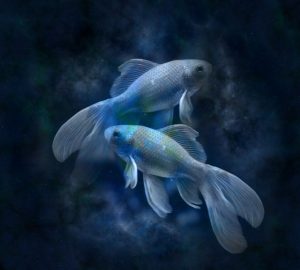 Fische Fische